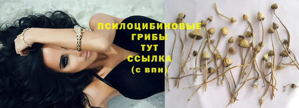 бошки Бородино