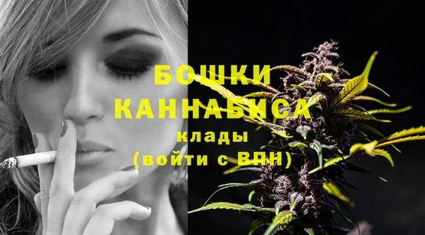 бошки Бородино
