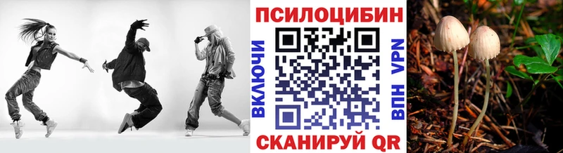Галлюциногенные грибы Psilocybe  Чишмы 